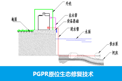 PGPR原位生态修复技术