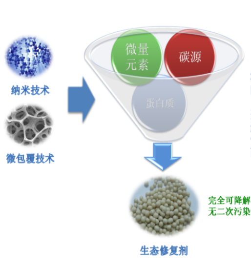 pgpr微生物扩陪系统 